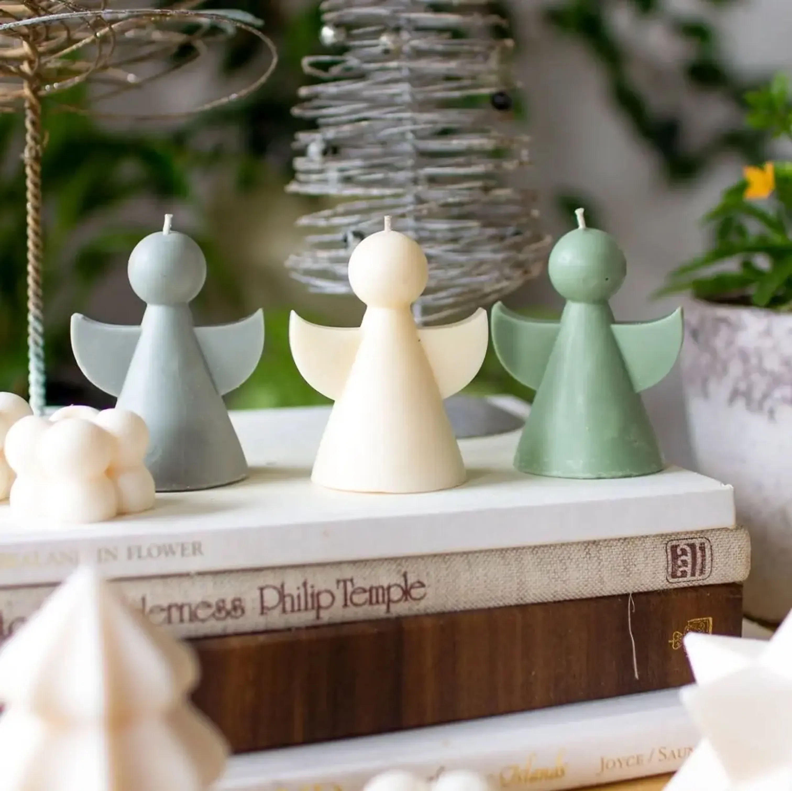 Margaritas amarillas con liston