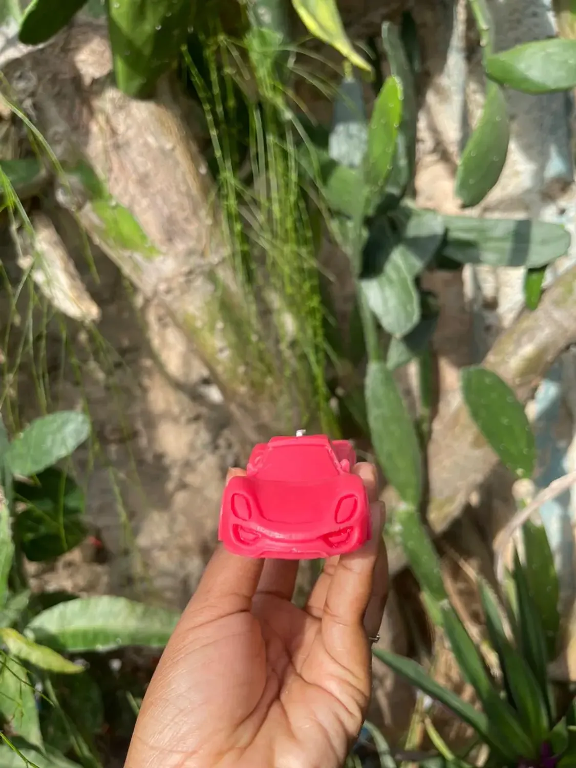 Muchas Margaritas rosadas de cera