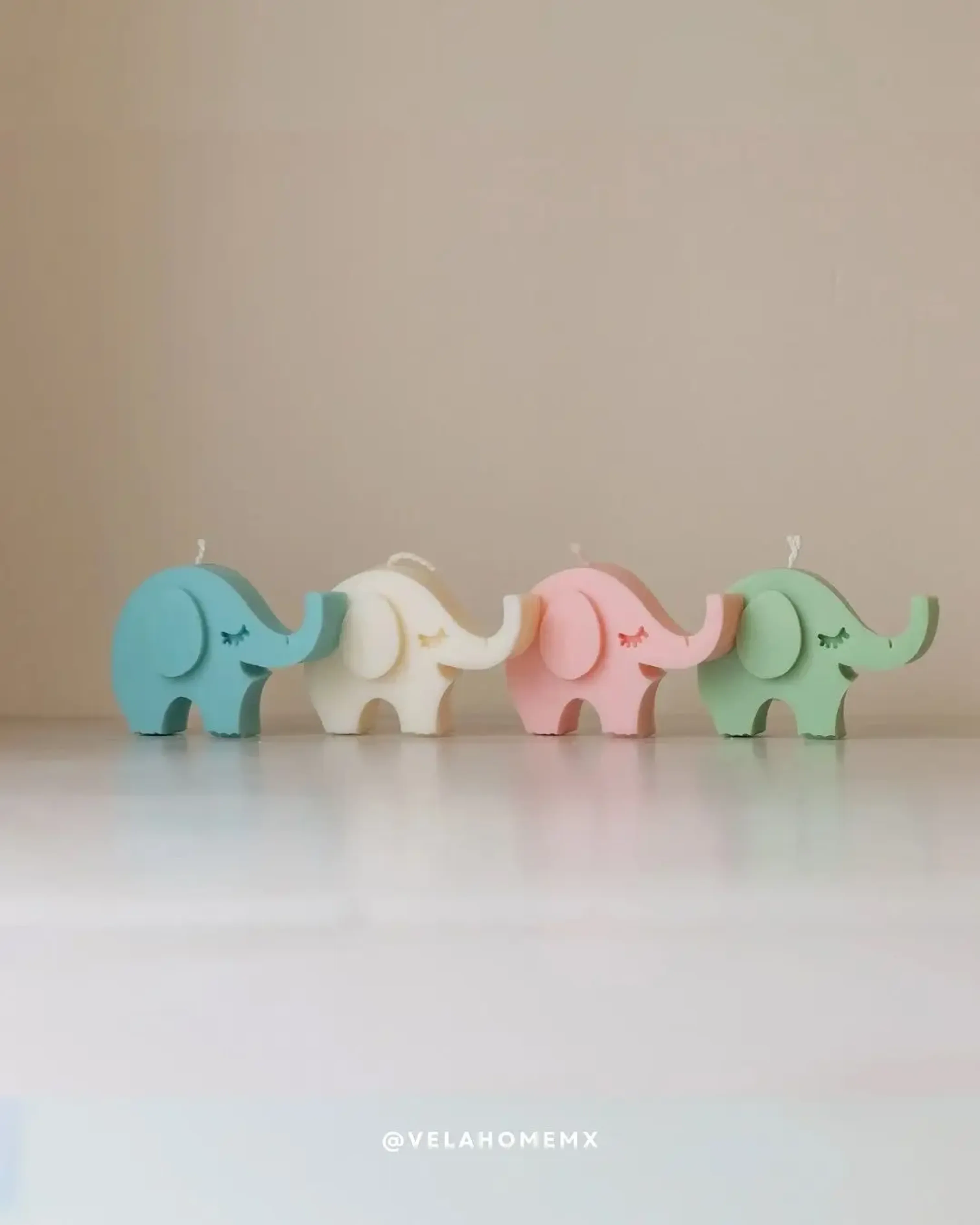 Muchas Margaritas de cera blancas, con liston verde