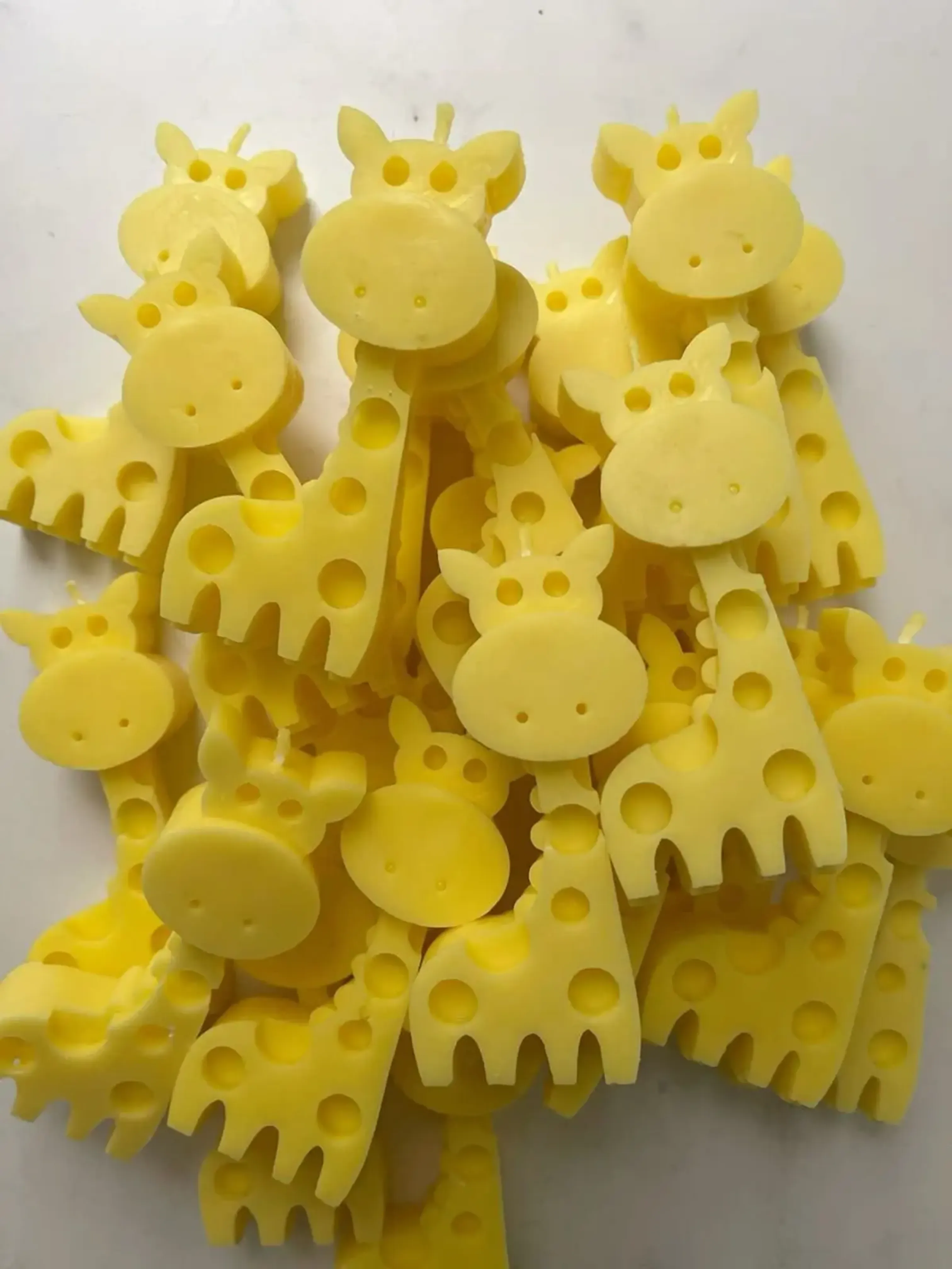 Muchas Margaritas de cera blancas, con liston verde