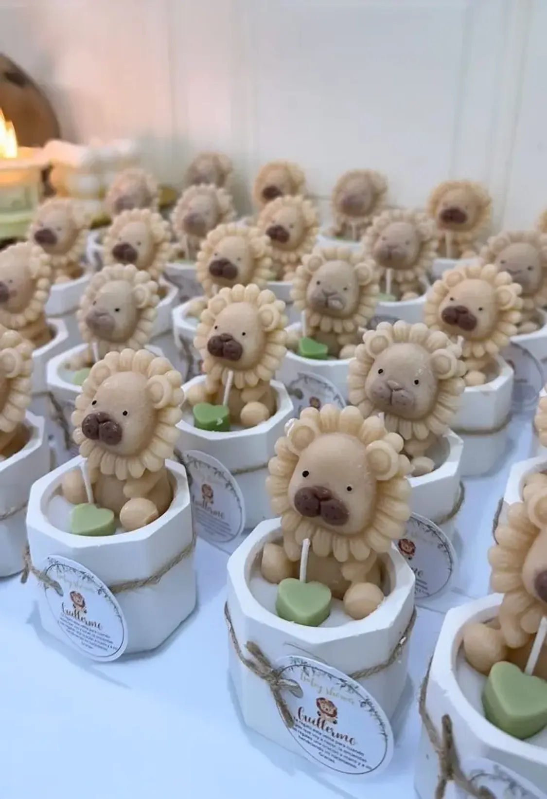 Muchas Margaritas rosadas de cera