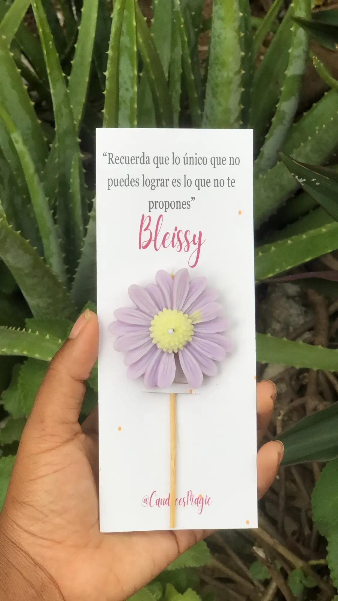 Margarita morada en cartonite