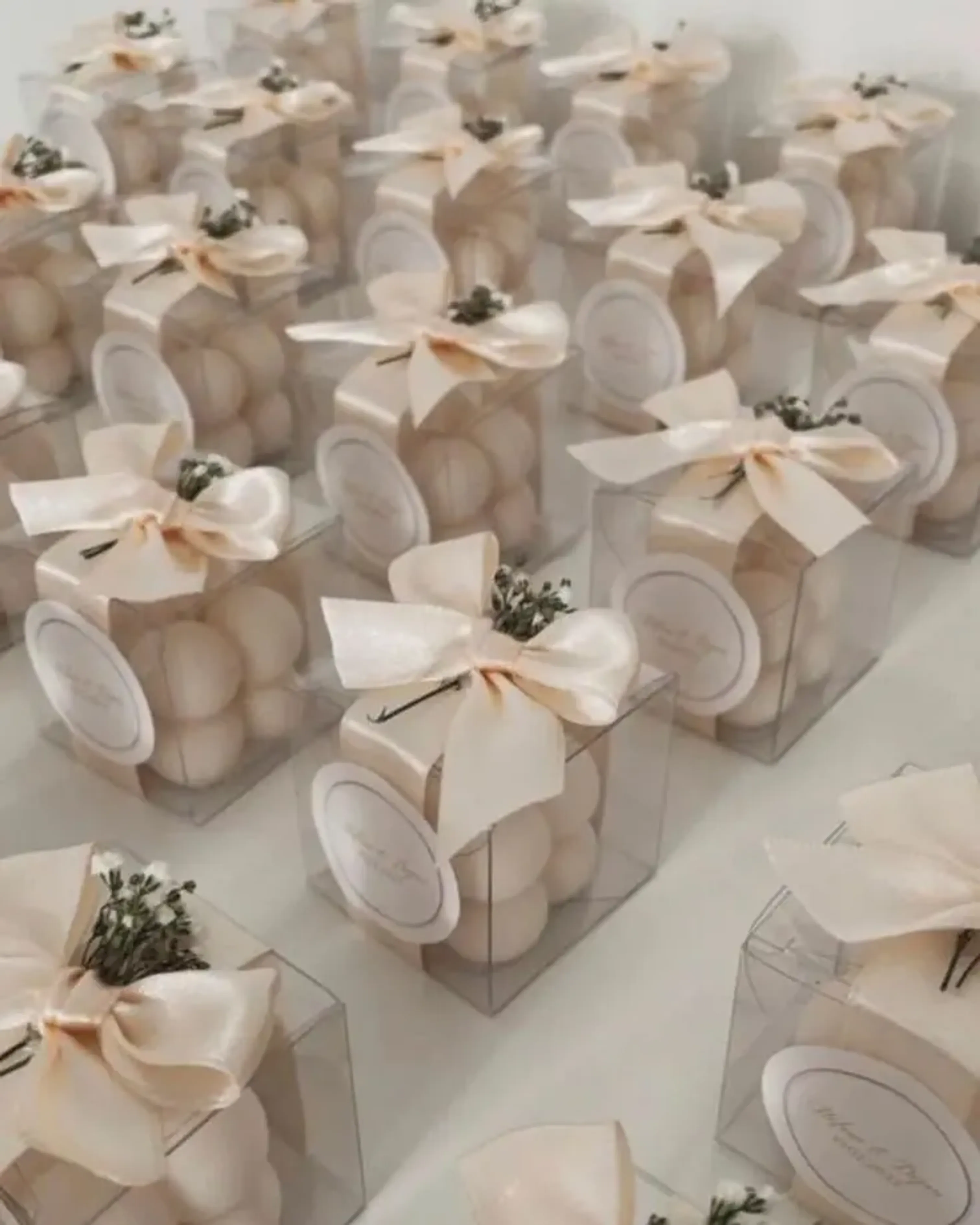 Margaritas amarillas con liston