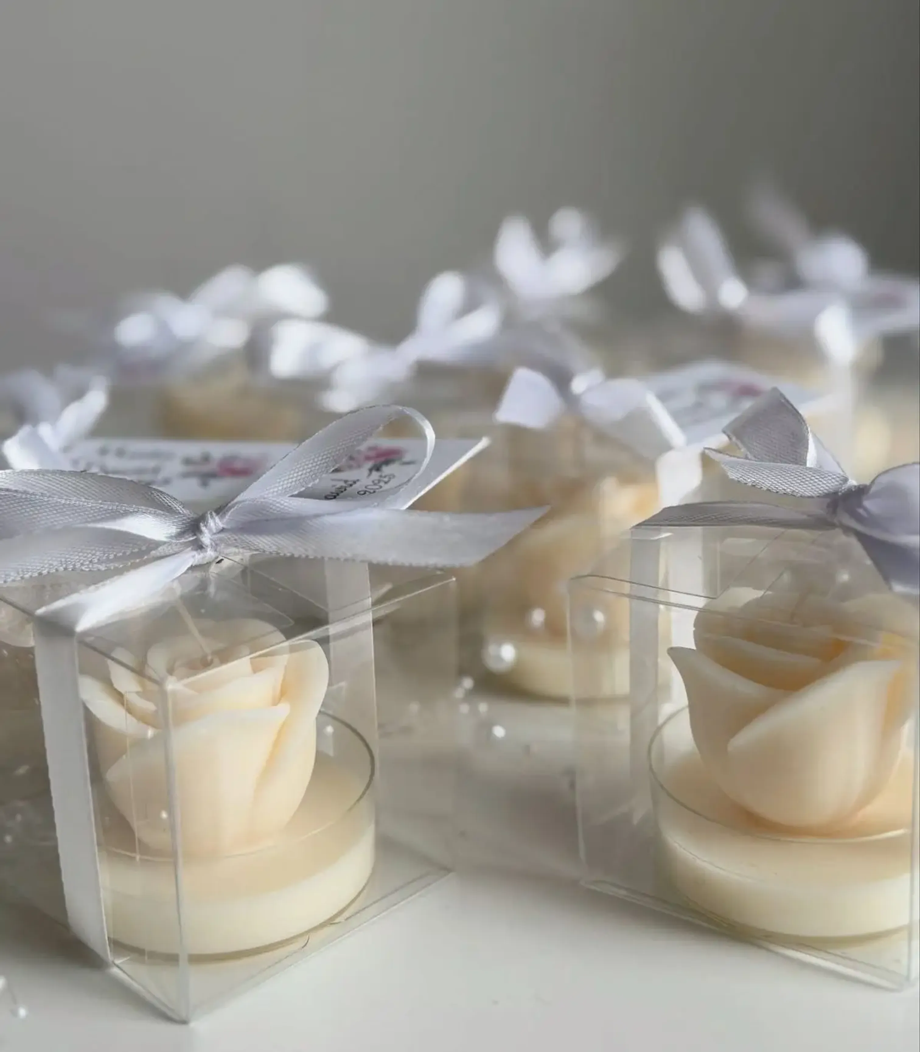 Margaritas amarillas con liston