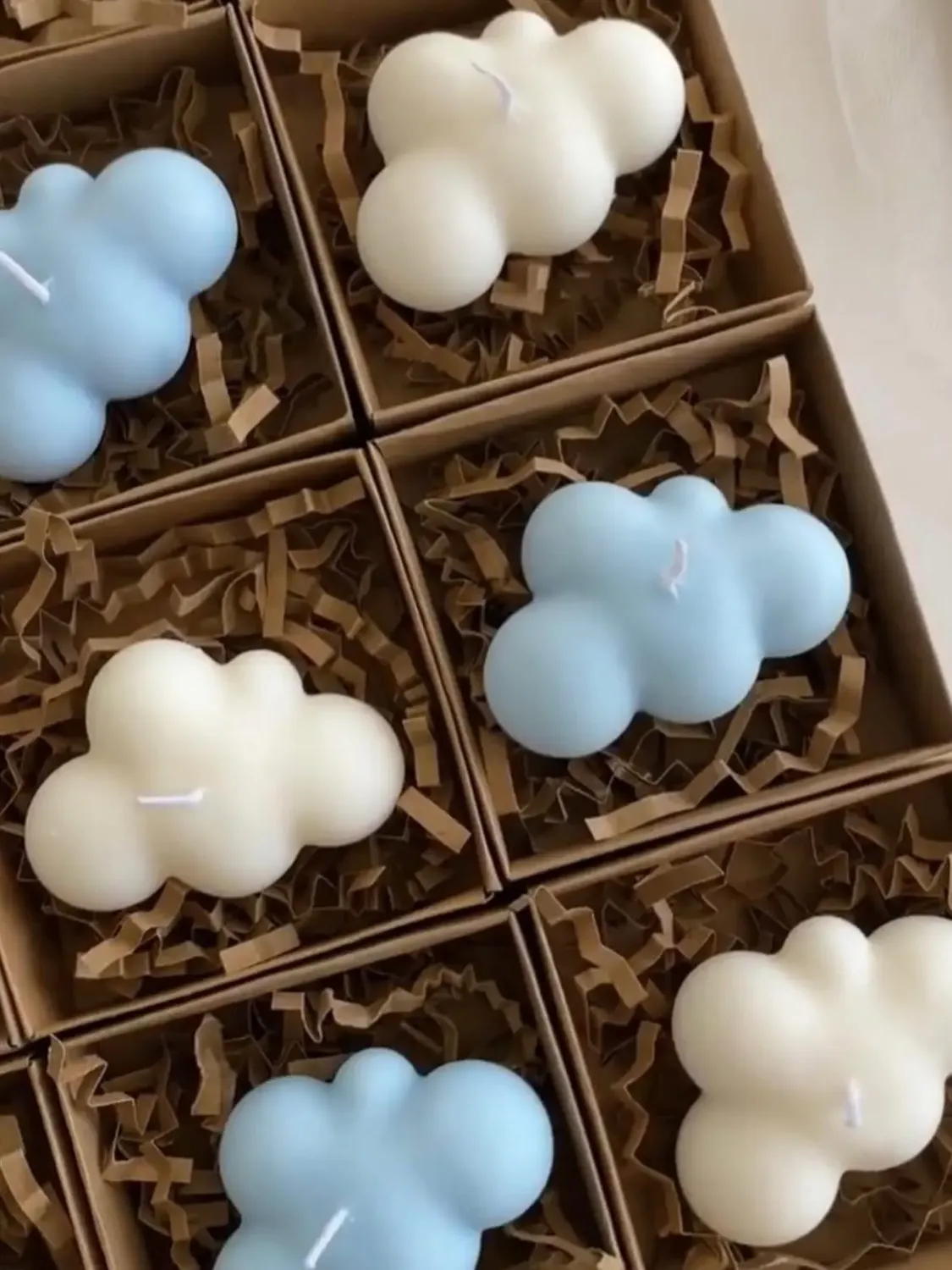 Muchas Margaritas rosadas de cera