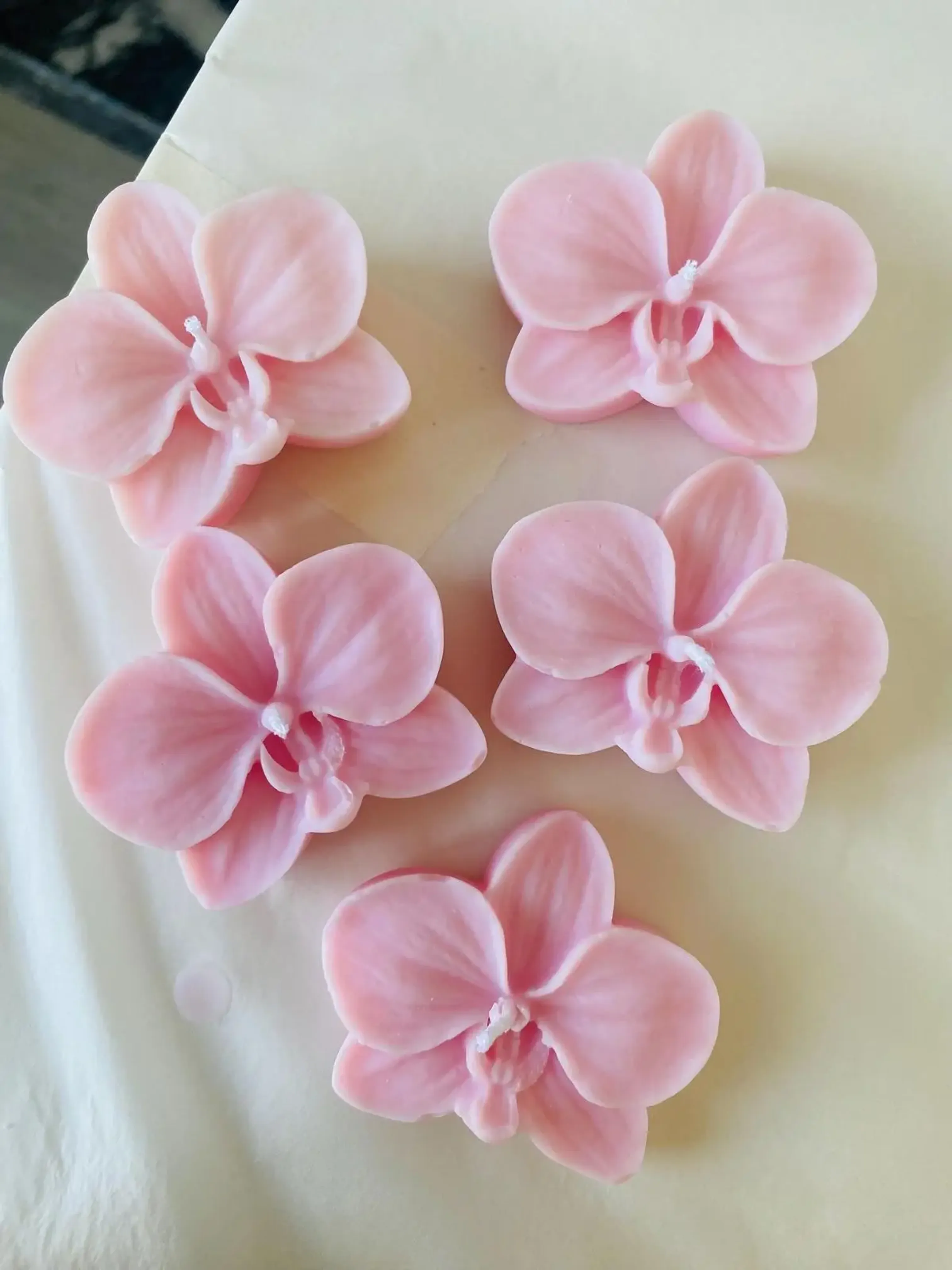 Margaritas amarillas con liston