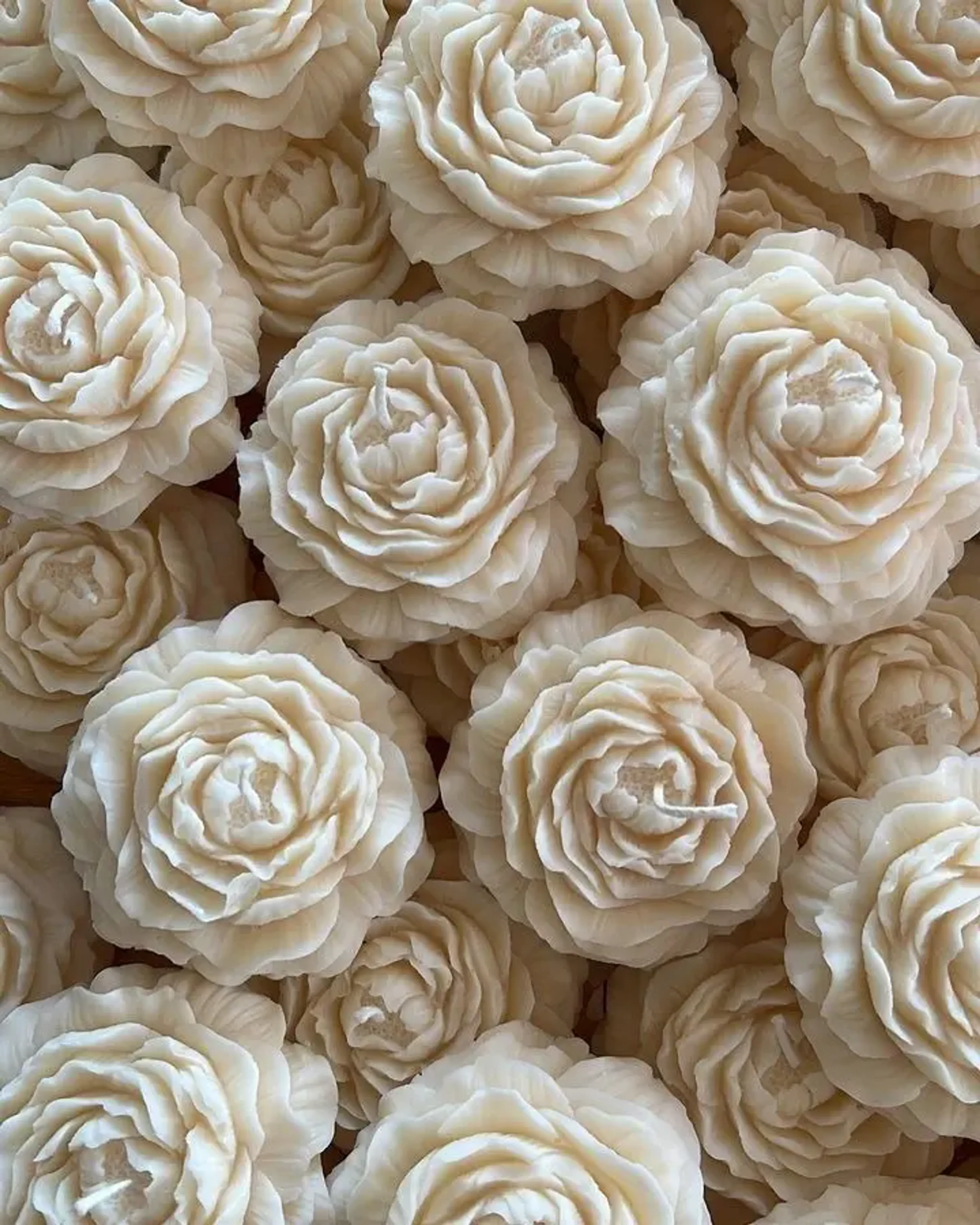 Margaritas amarillas con liston